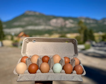 FREE RANGE FARM FRESH EGGS DOZEN INVERMERE AVAILABLE/ CRANBROOK SEPT 8