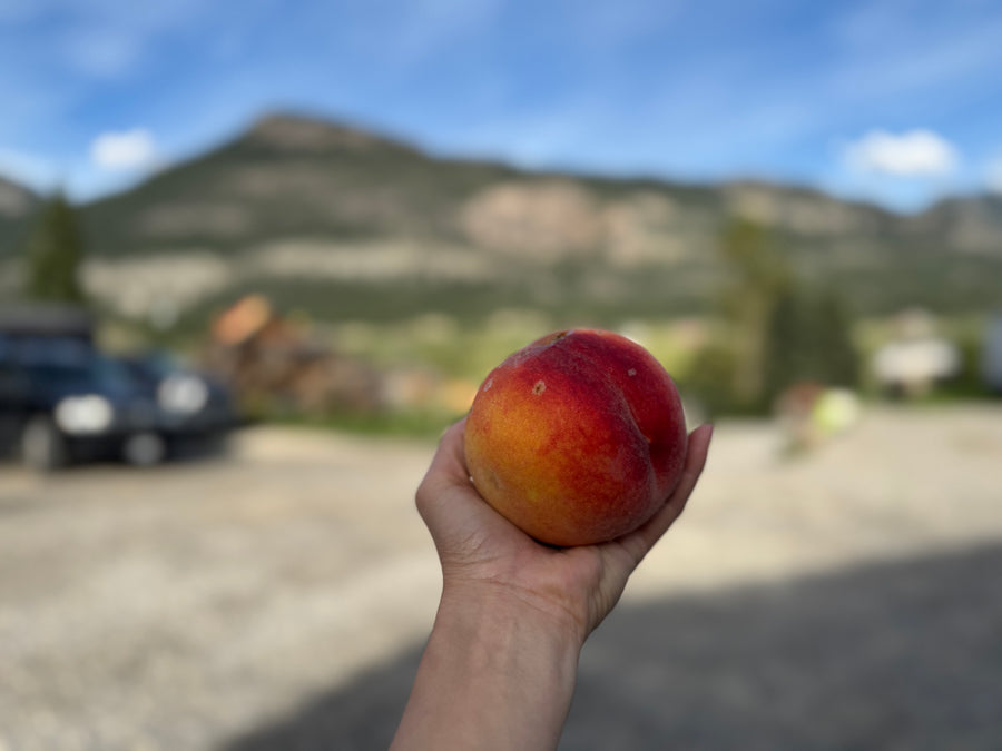 BLEMISHED FREESTONE PEACHES AVAILABLE/ CRANBROOK TBD