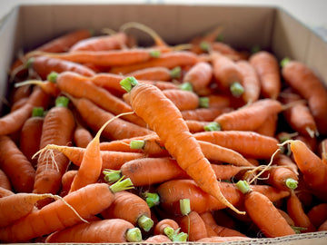 ORGANICALLY GROWN BC CARROTS 1 LB INVERMERE AVAILABLE/CRANBROOK SEPT 23rd 12-12:15 PM