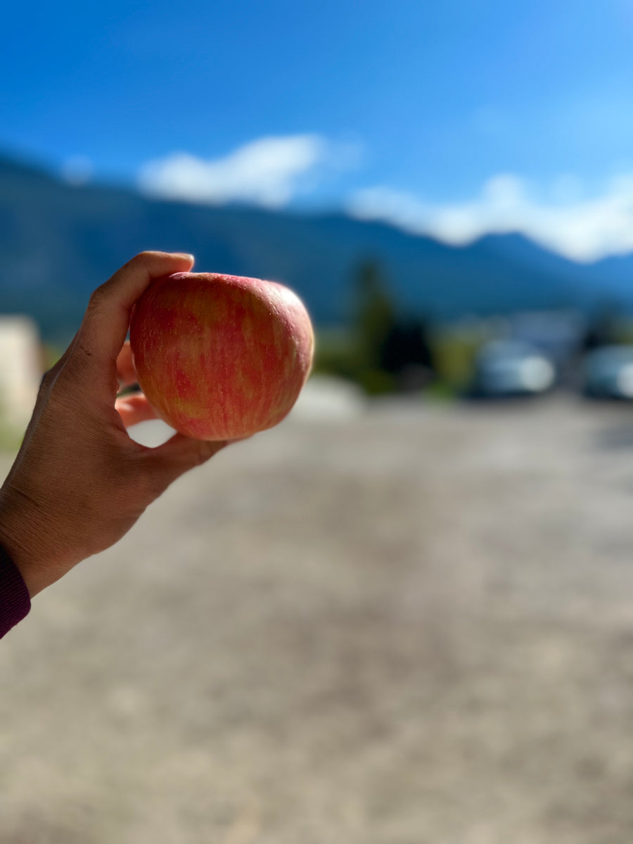 BC HONEY CRISP APPLES INVERMERE AVAILABLE/CRANBROOK SEPT 23 12-12:15 PM