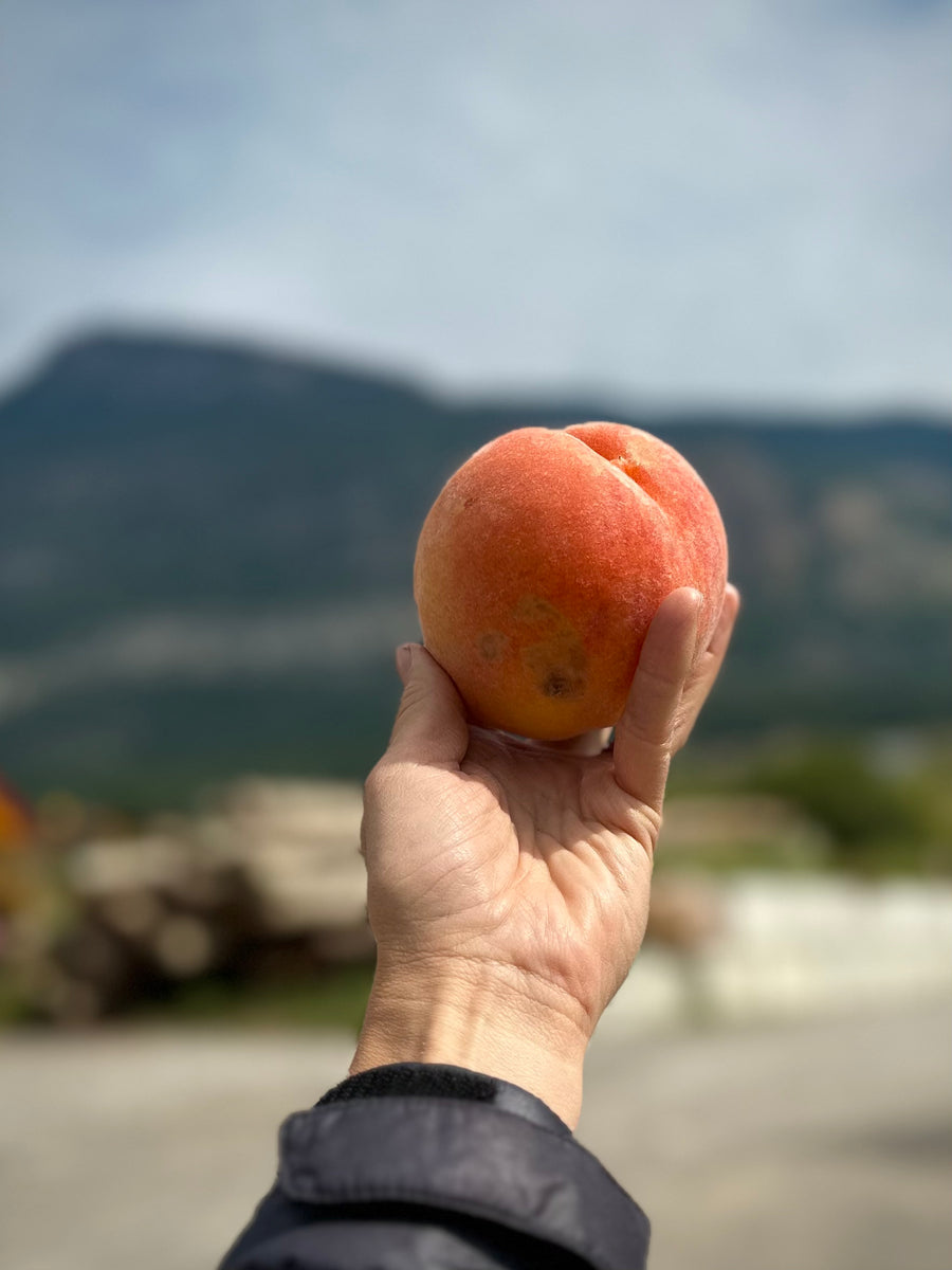 BLEMISHED FREESTONE PEACHES AVAILABLE/ CRANBROOK TBD
