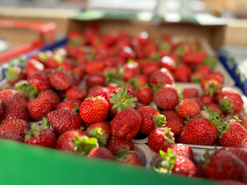 BC STRAWBERRIES - INVERMERE SEPT 20 (WILL CONFIRM DATE)