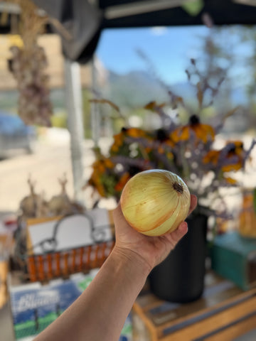YELLOW SWEET ONIONS INVERMERE AVAILABLE/CRANBROOK SEPT 8