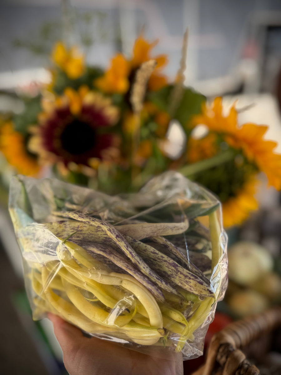 ORGANIC GREEN OR YELLOW BEANS INVERMERE AVAILABLE/ CRANBROOK AUG 18