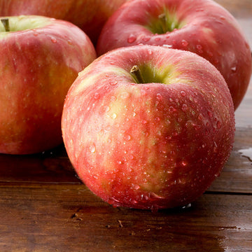 BC HONEY CRISP APPLES INVERMERE AVAILABLE/CRANBROOK SEPT 23 12-12:15 PM