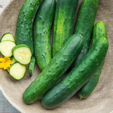ORGANICALLY GROWN ENGLISH CUCUMBERS INVERMERE AVAILABLE/ CRANBROOK SEPT 8
