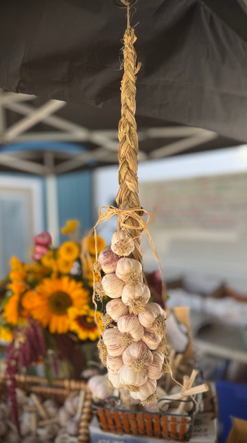 GARLIC BRAID ORGANICALLY GROWN INVERMERE AVAILABLE/ CRANBROOK SEPT 8
