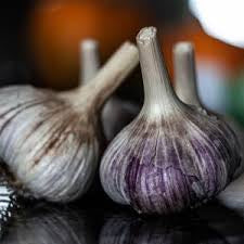 RED RUSSIAN GARLIC ORGANICALLY GROWN INVERMERE AVAILABLE