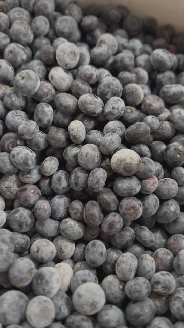 FROZEN BC BLUEBERRIES (REGULAR/CERTIFIED ORGANIC/NO SPRAY)/CRANBROOK SEPT 23rd 12-12:15 PM