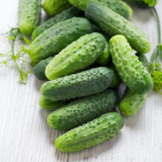 PICKLING CUCUMBERS INVERMERE AUG 29/ CRANBROOK SEPT 8