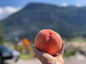 FREESTONE PEACHES INVERMERE AUG 29/ CRANBROOK SEPT 8