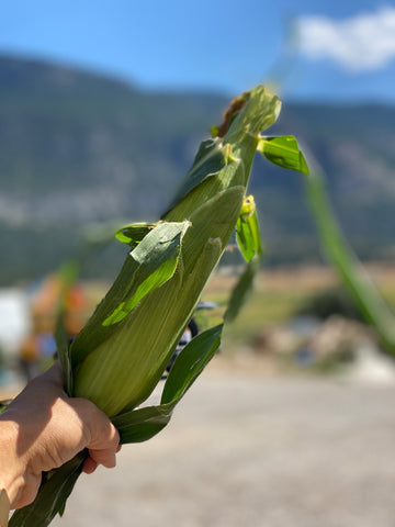 NO SPRAY PEACHES & CREAM OR YELLOW CORN INVERMERE AVAILABLE//CRANBROOK SEPT 23rd 12-12:15 PM