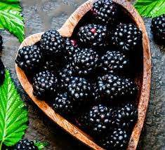 BC BLACKBERRIES INVERMEREAVAILABLE/ CRANBROOK TBD