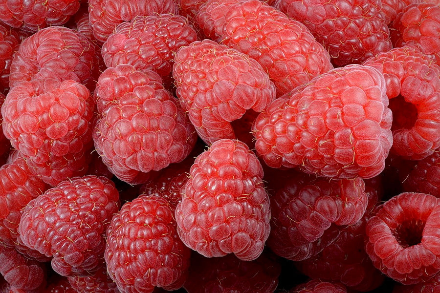 BC NO SPRAY RASPBERRIES INVERMERE THURSDAY/CRANBROOK 2026
