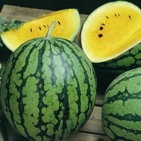 WATERMELON RED OR YELLOW INVERMERE AVAILABLE//CRANBROOK SEPT 23rd 12-12:15 PM